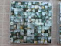 Mesh 25x25mm/300x300mm Blacklip Seashell