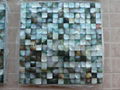 Mesh 20x20mm/300x300mm Blacklip Seashell