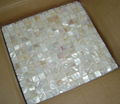 Mother of Pearl mosaic tile 1