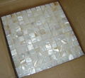 Mother of Pearl mosaic tile 1