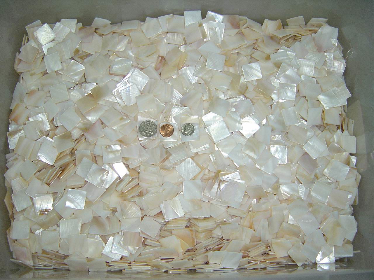 Loose mother of pearl mosaic squares