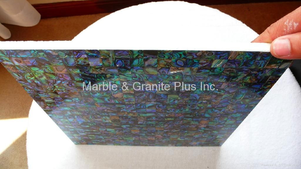 Abalone Paua tile with ceramic tile backing