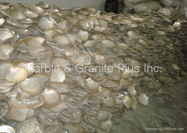 Raw material of Natural Yellowlip Seashell MOP