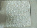 Dia. 20mm White MOP Mosaic Tile 3