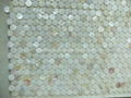 Dia. 20mm White MOP Mosaic Tile 4