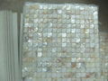 Mesh Peacock White MOP mosaic tiles 4