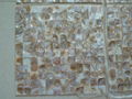 Mesh Mirage Brown Mother of Pearl (MOP) Mosaic Tile (Butt-joint gap)