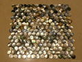 Dia. 20mm Blacklip Seashell MOP Mosaic