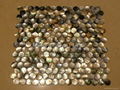 Dia. 20mm Blacklip Seashell MOP Mosaic Tile