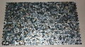 Dia. 20mm Blacklip Seashell MOP Mosaic Tile 3
