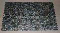 Dia. 20mm Blacklip Seashell MOP Mosaic Tile 4