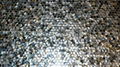 Dia. 20mm Blacklip Seashell MOP Mosaic Tile