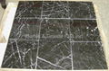 Nero Marquina (wild vein), Elite Black Venato, China Black w/Vein, Nero Oriental 2