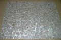 Mother of Pearl mosaic tile 4