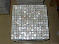 Mother of Pearl mosaic tiles 1