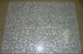 Mother of Pearl mosaic tiles 2