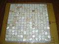 Mother of Pearl mosaic tiles