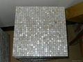 Mother of pearl mosaic tile 1