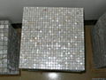 Mother of pearl mosaic tile 2