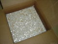 Mother of pearl mosaic tile 3