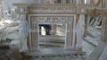 Marble Fireplace