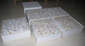 mesh MOP mosaic tile 1