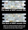 plastic mounted MOP mosaic tile 1