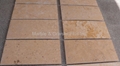 Yellow Limestone (Beige Limestone) 3