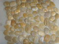 pebble mosaic tile