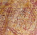 Chinese Rosso Damascus 2