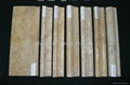 Travertine moldings & profiles