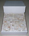 mesh MOP mosaic tile 2