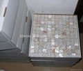 mesh MOP mosaic tile 4