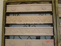 Carved Marble Border 4