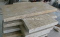 Travertine Pool Coping