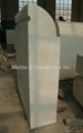 Pool Coping 3