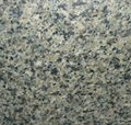 China Green granite