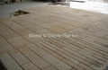 Granite Paving Stone