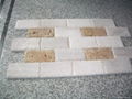 Marble & Travertine Paver