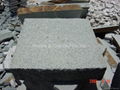 Granite Paver