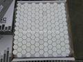 Thassos Hex Pattern Mosaic Tile