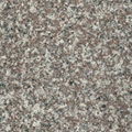 G664 Misty Brown, Majestic Gray 1