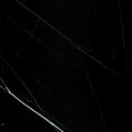 Nero Marquina (root vein), Elite Black,