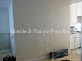 Mesh Mother of Pearl Mosaic Tiles for rooms