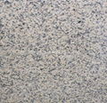 Pinkish Yellow Granite 1