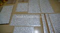 Random Mother of Pearl Mosaic Tiles 3