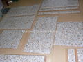 Random Mother of Pearl Mosaic Tiles