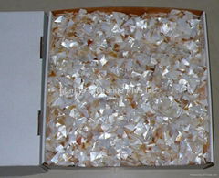 Random Mother of Pearl Mosaic Chips