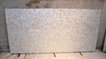 25x25mm/2440x1220x20mm Solid White freshwater MOP slab