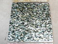 Solid Blacklip (Tahiti) Mother of Pearl Tile 1